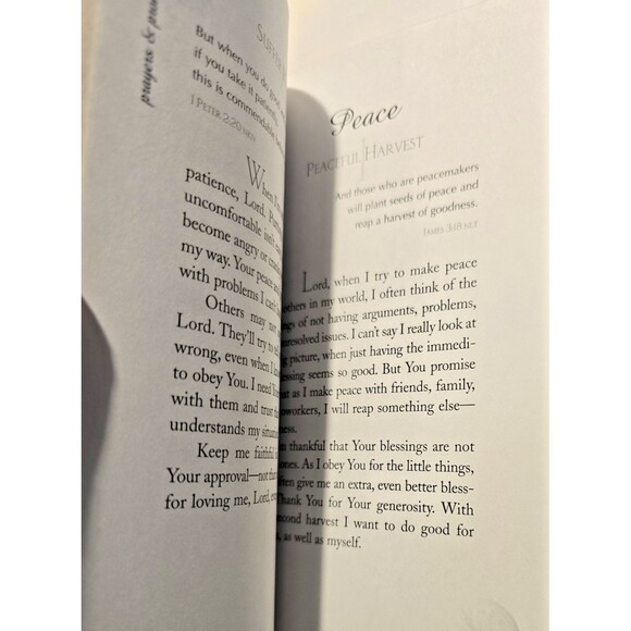 PRAYERS AND PROMISES FOR THE GRADUATE By Pamela Mcquade-Christian Life, Religion - Picture 7 of 10